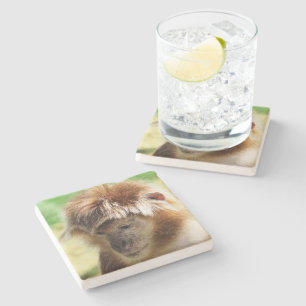 MONKEYS STONE COASTER