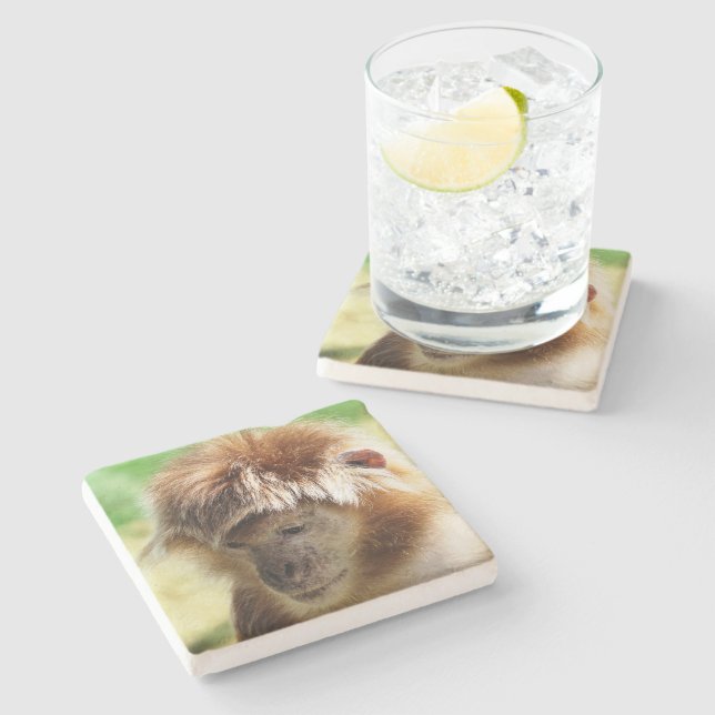 MONKEYS STONE COASTER (Side)