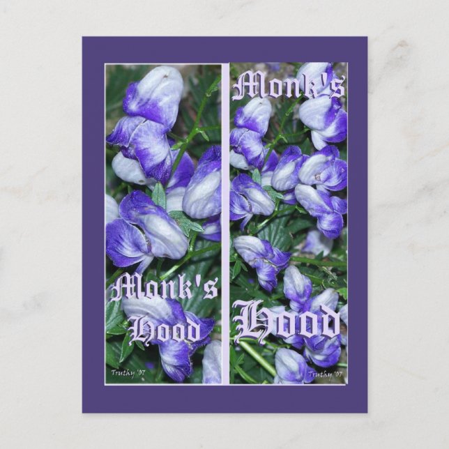 MONKSHOOD BOOKMARKS POSTCARD (Front)