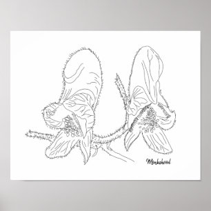 Monkshood Illustration Poster