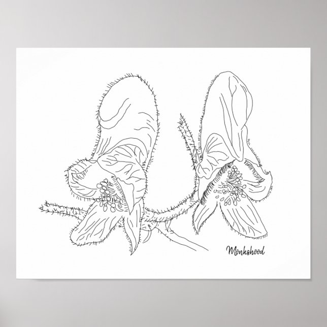 Monkshood Illustration Poster (Front)