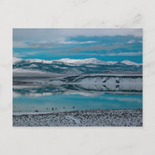 Mono Lake 01 Postcard