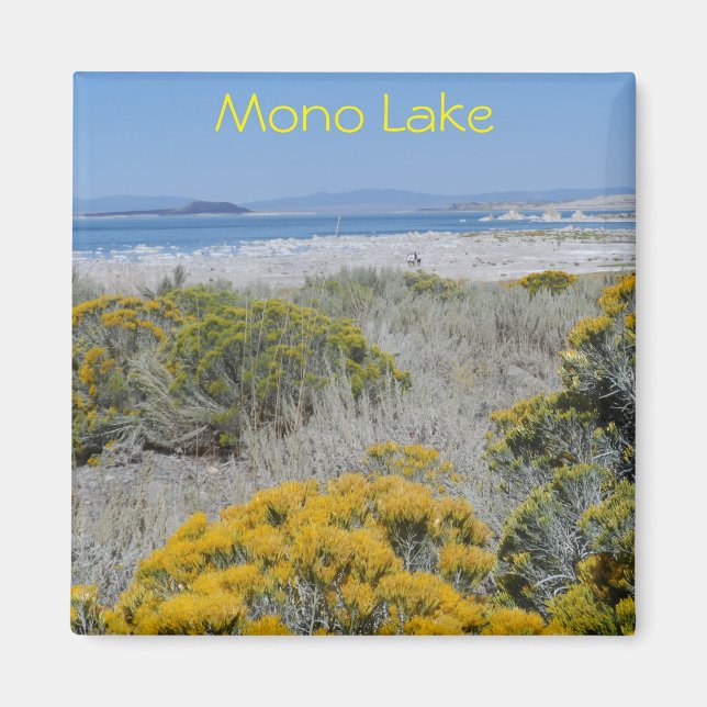 Mono Lake, CA Magnet (Front)