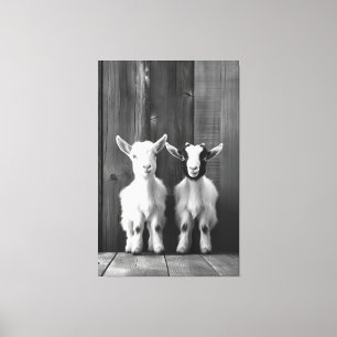 Monochromatic Portrait of Two Baby Goats  Canvas Print