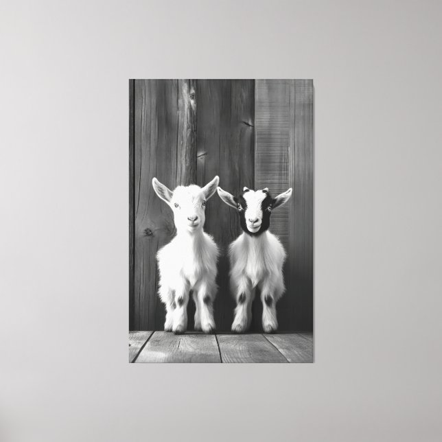 Monochromatic Portrait of Two Baby Goats  Canvas Print (Front)