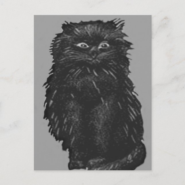 Monochrome Black Cat Postcard (Front)