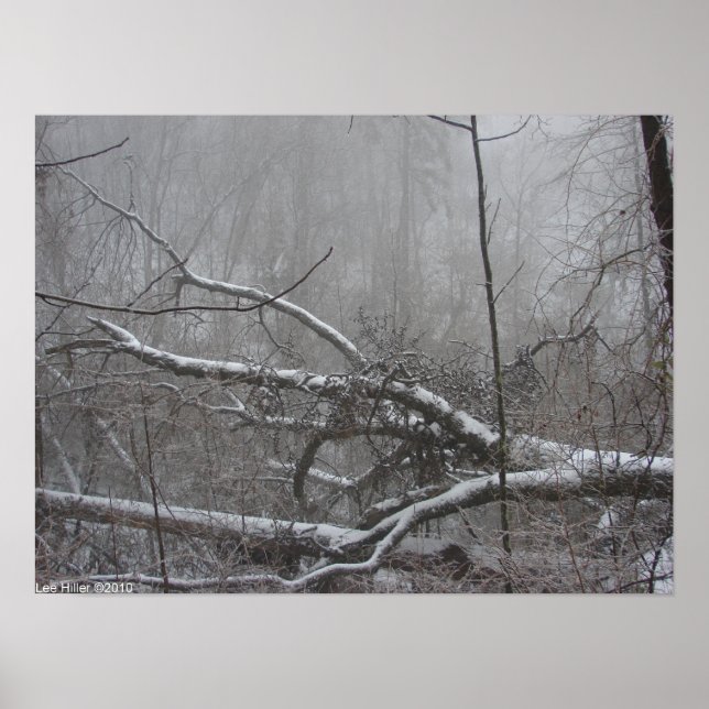 "Monochrome Blizzard" Snow Storm Poster (Front)