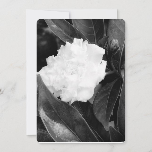  Monochrome Bloom Invitation (Front)