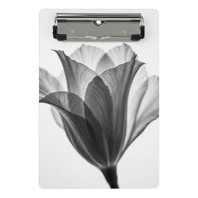 Monochrome botanical fine art photograph mini clipboard (Front)