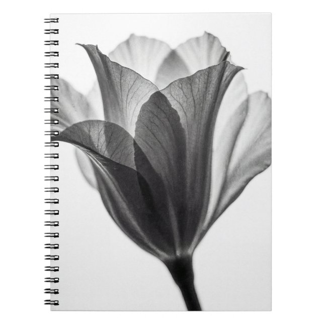 Monochrome botanical fine art photograph notebook (Front)