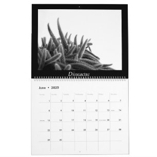 Monochrome Cacti 2025 Calendar