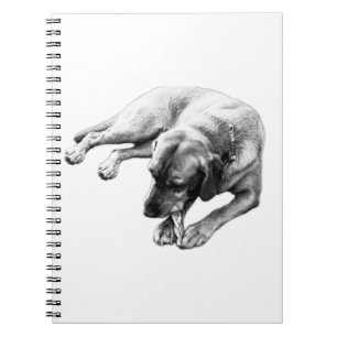 Monochrome Chewing Dog Portrait Notebook