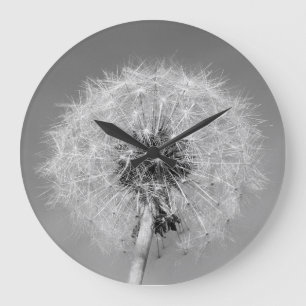 Monochrome Dandelion Clock