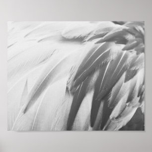 Monochrome Flamingo Feathers Printable Art  Poster