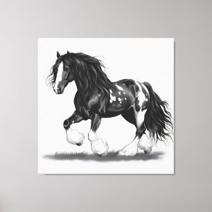 Monochrome Gypsy Vanner Horse Canvas Print