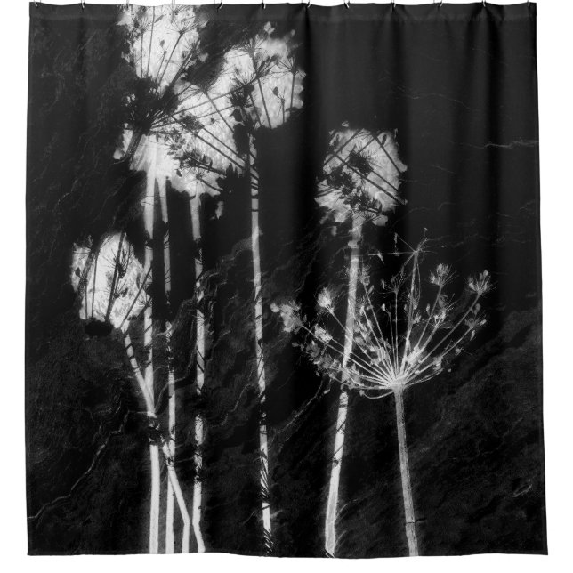 Monochrome High Contrast Dried Wildflowers Graphic (Front)