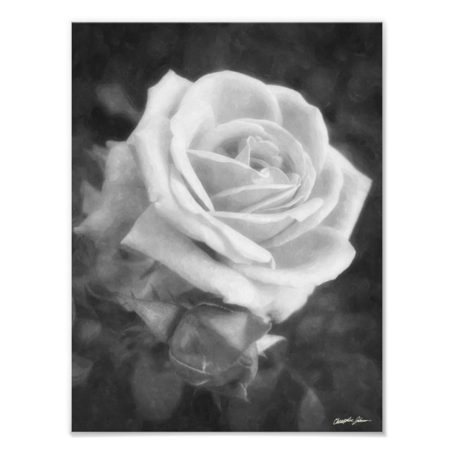 Monochrome Light Rose Print (Front)