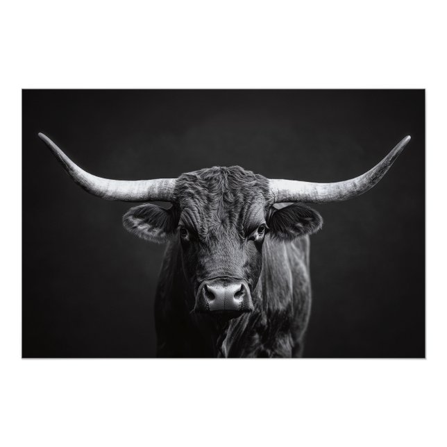 Monochrome Longhorn Steer Cattle Poster (Front)