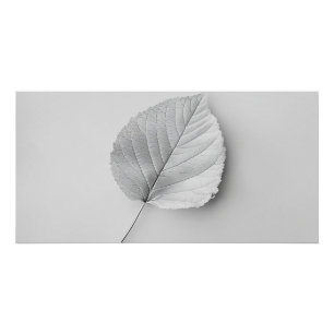 Monochrome Minimalist Sheet Poster