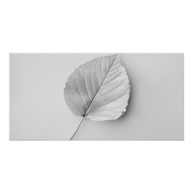 Monochrome Minimalist Sheet Poster (Front)