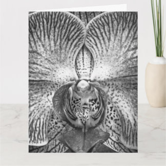 Monochrome Orchid Greeeting Card