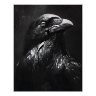 Monochrome Raven Portrait Photo Print