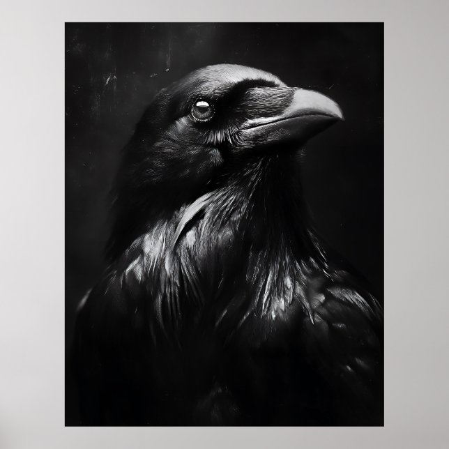 Monochrome Raven Portrait Poster (Front)