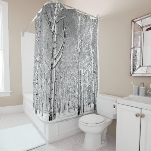 Monochrome Towering Aspen Trees in Winter Snow