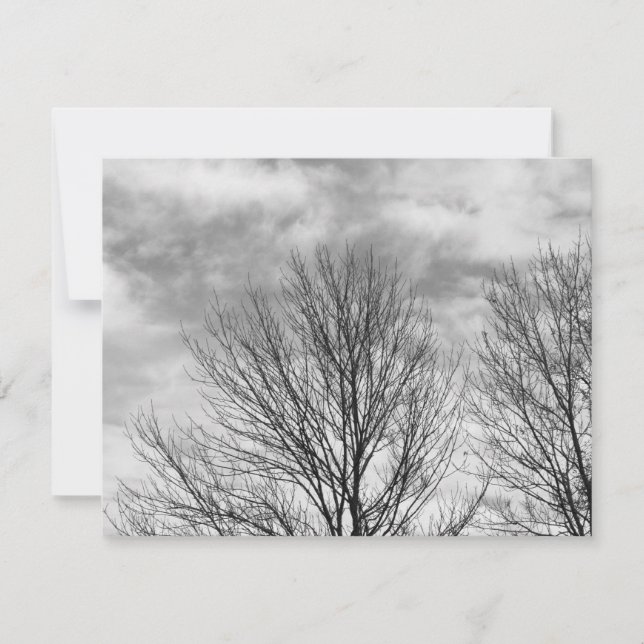 Monochrome Tree Top (Front)