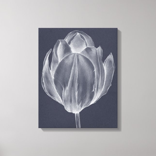Monochrome Tulip I Canvas Print (Front)
