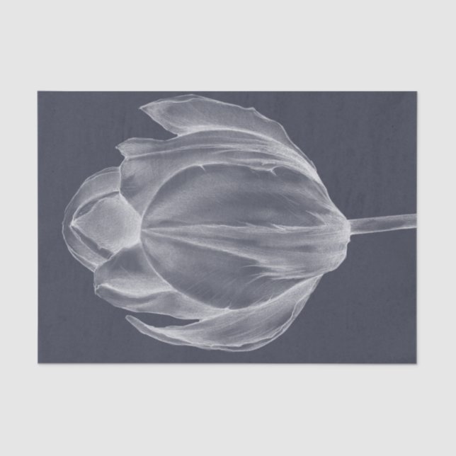 Monochrome Tulip I Tissue Paper (Front)