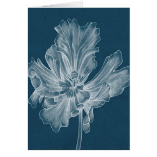 Monochrome Tulip II