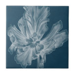 Monochrome Tulip II Tile<br><div class="desc">Floral</div>