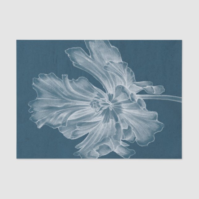 Monochrome Tulip II Tissue Paper (Front)