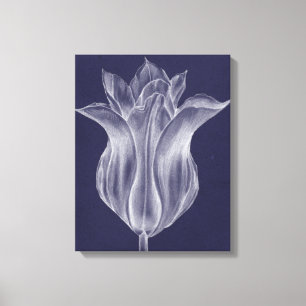 Monochrome Tulip III Canvas Print