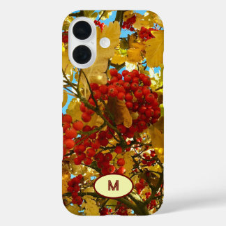 Monogram Autumn RedBerry orange Tree Crown Photo - iPhone 16 Case