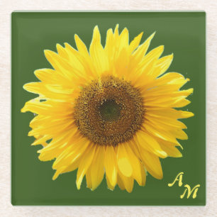 Monogram & beautiful sunflower on green forest glass coaster