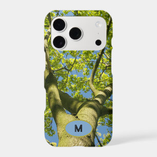 Monogram Green Tree Crown Photo with blue Sky -