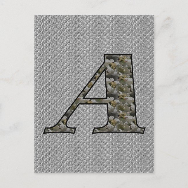 Monogram Initial A Hydrangea Flowers Postcard (Front)