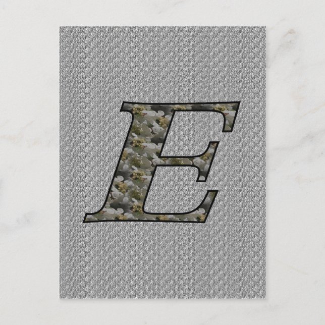 Monogram Initial E Hydrangea Flowers Postcard (Front)
