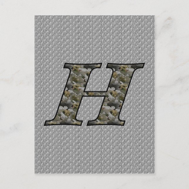 Monogram Initial H Hydrangea Flowers Postcard (Front)