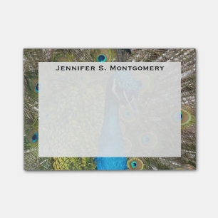Monogram Turquoise Blue Lime Green Peacock Feather Post-it Notes