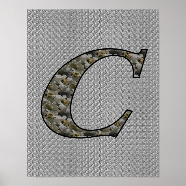 Monogrammed Initial C Hydrangea Floral Poster (Front)