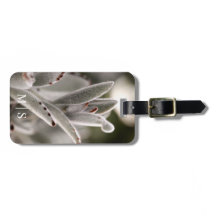 Monogrammed Sage Green Succulent With Brown Tips