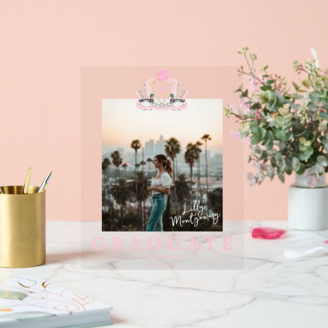 Monographie du canard de Mallard (Mariage)