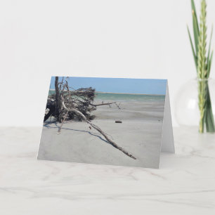 Monomoy National Wildlife Refuge in Cape Cod Card