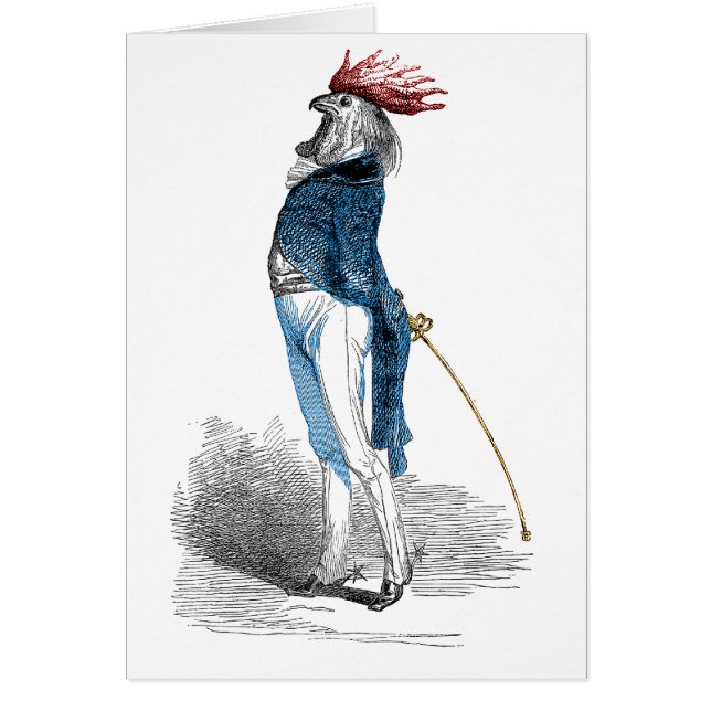 Monsieur de coq (Devant)