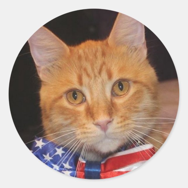 Monsieur le Président aime les autocollants ! (Devant)