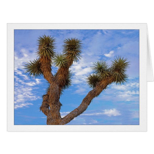 " Monsoon Morning " (Front Horizontal)