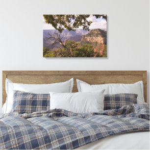 Monsoon Season At North Rim Of The Grand Canyon Canvas Print